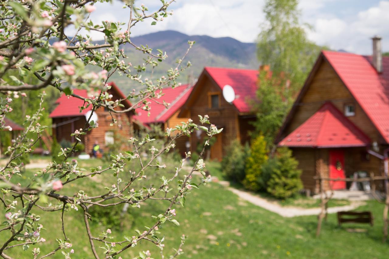 Teremok Guest House Vyshka Exterior foto